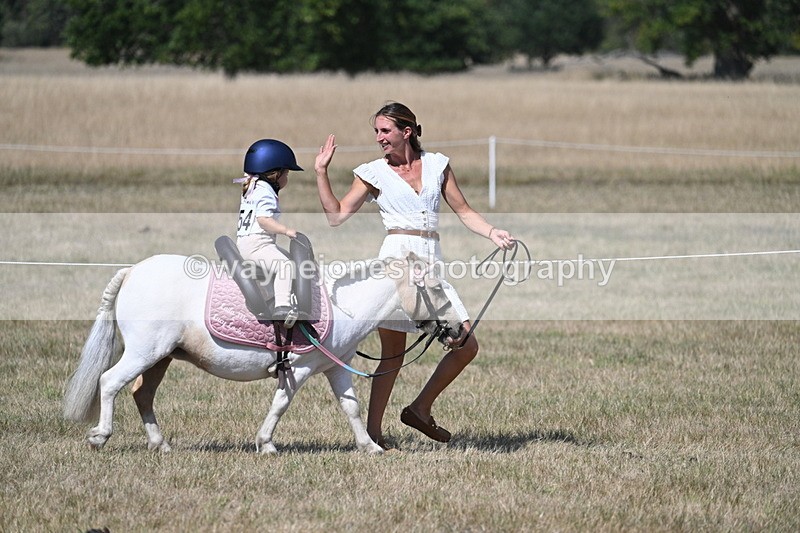 WJ7_1236 - Class 41 Prettiest Mare