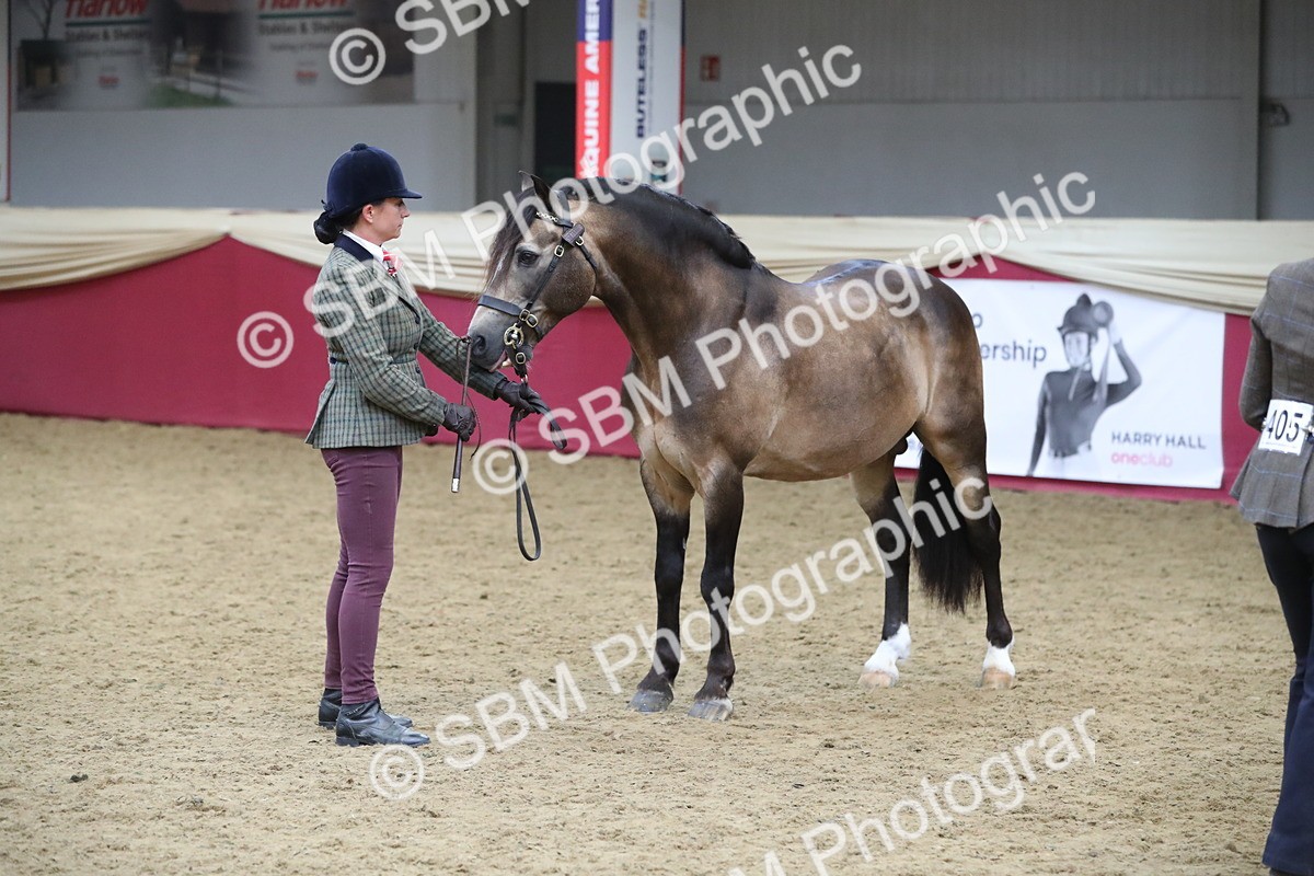 SBM_17199 - M&M Supreme Final Champ