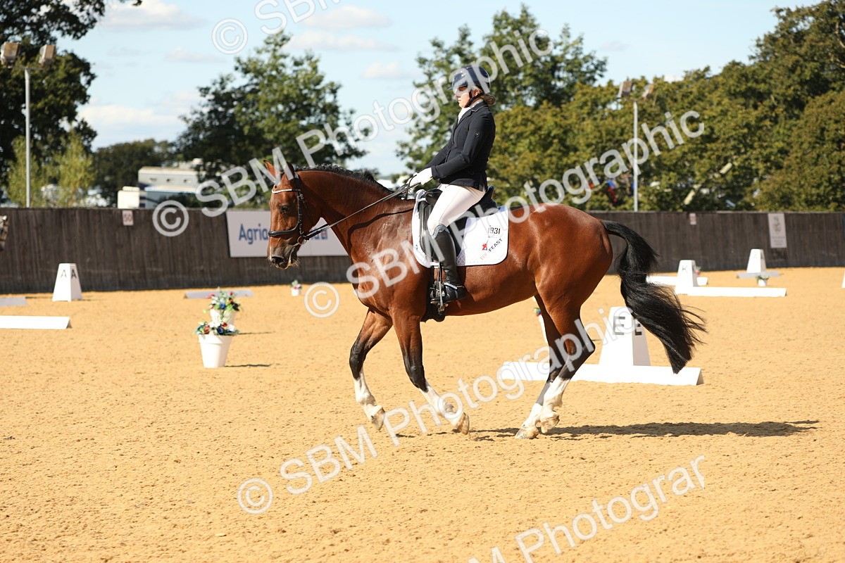 SBM_24540 - D17 - Grand Tour Championship - Novice 27