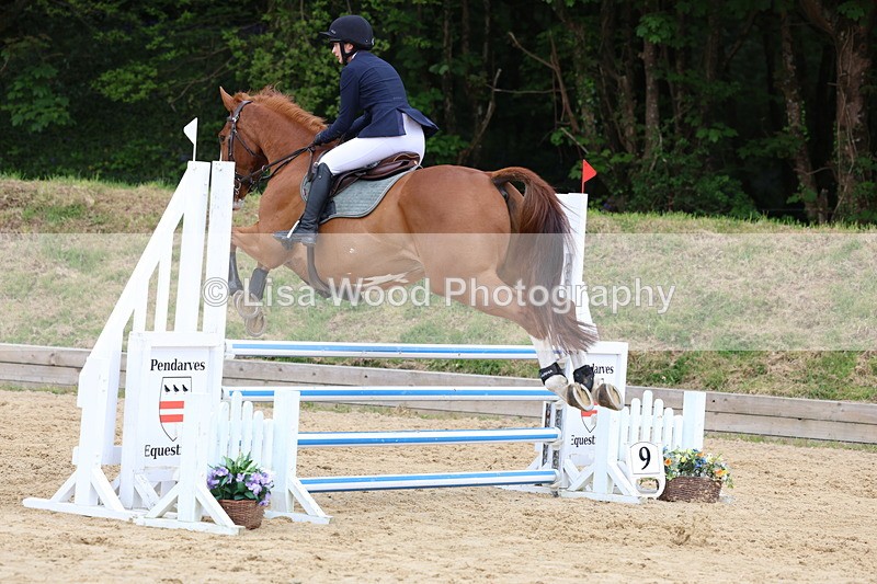 3E7A6267 - Class 4: Senior British Novice/90cm open