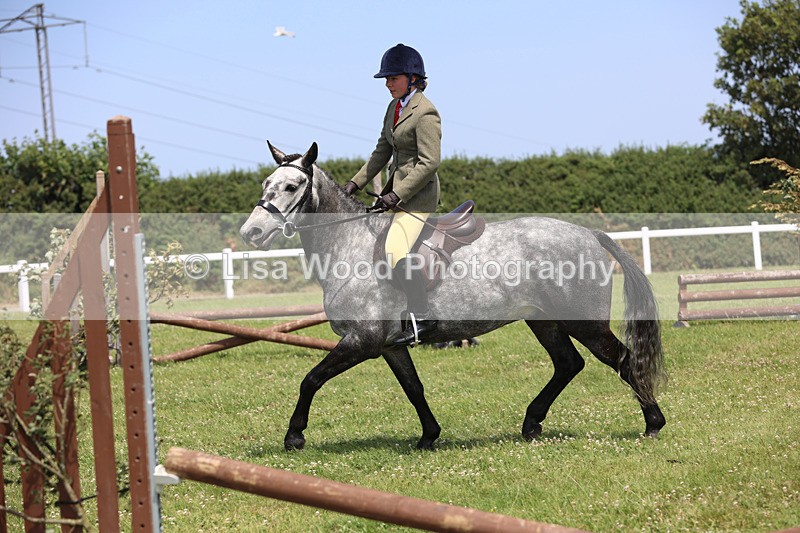 JPP_2466 - Class 21: Working Hunter 60cm