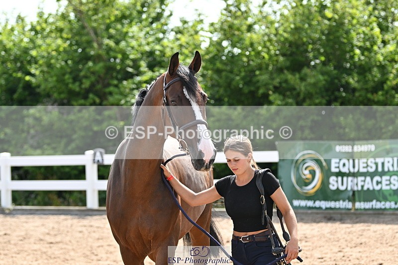 240717A-155637-03209 - Trot Up 3pm to 4pm