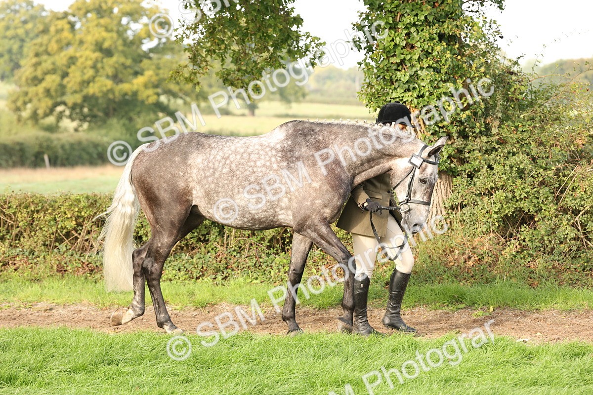 SBM_54660 - S53 - Hunter In Hand