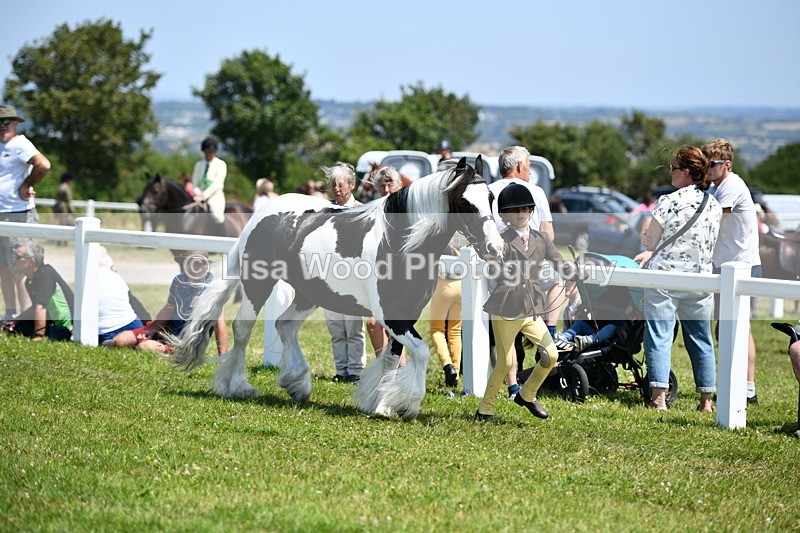 DSC_7585 - Class 64: Coloured Pony 4yrs & over