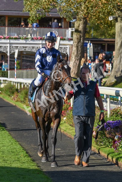 141023-Race 5-Certain Lad-1384 - Race 5 3.35pm Coral Racing Bet Bundles Handicap