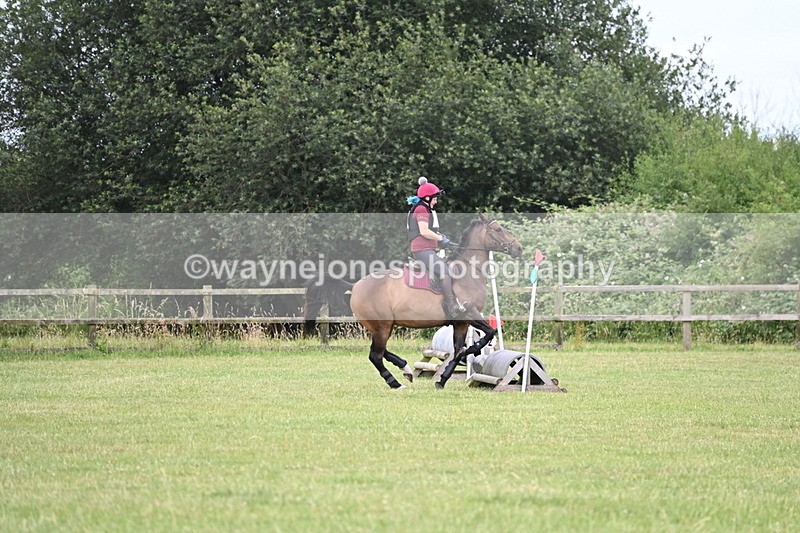 WJ6_5692 - 60cm Pairs XC