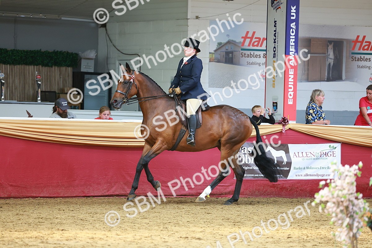 SBM_20193