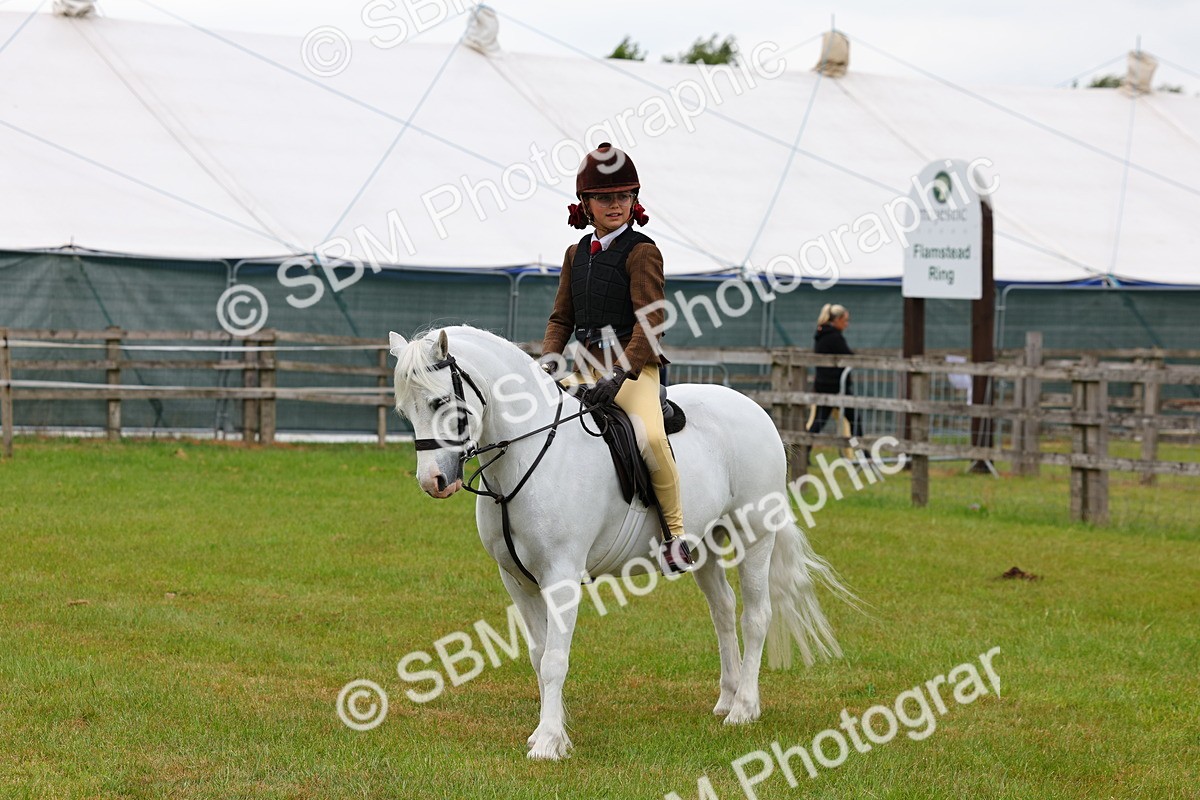 SBM_08713 - Class 42-43 - LIHS BSPS Heritage Working Sports Pony