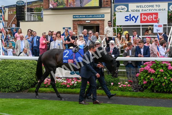 270724-Race 1-Alflaila-9435 - Race 3 3.15pm Sky Bet York Stakes