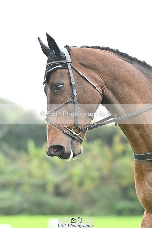 241024-142743-04308 - 582-Courtney.Romcke-JD.ON.THE.ROCKS