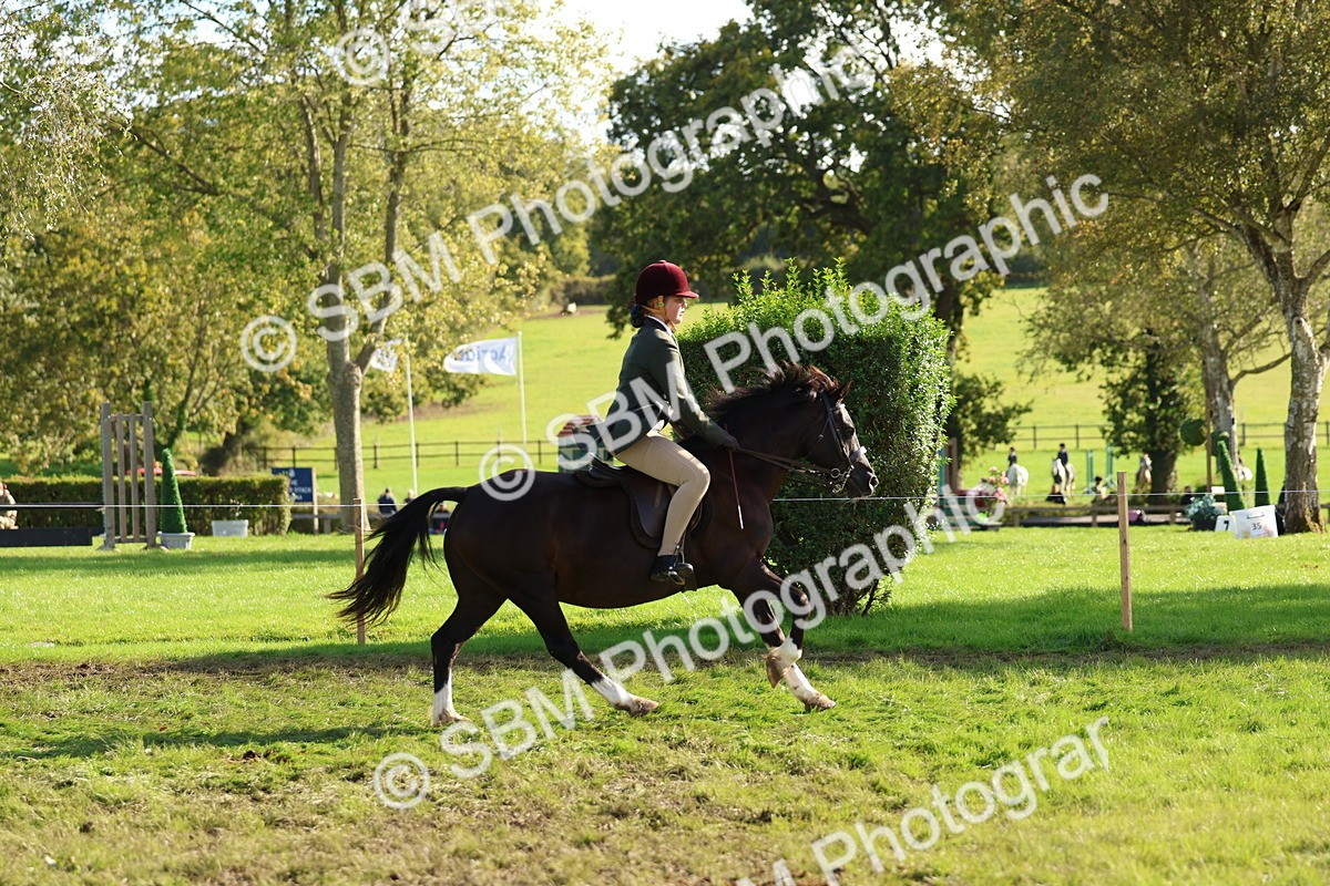 SBM_52418 - S13 - Pony Club Pony