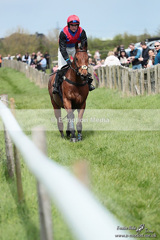 PtP 180426 354 - Worcestershire Hunt PtP Chaddesley Corbett 18/04/26