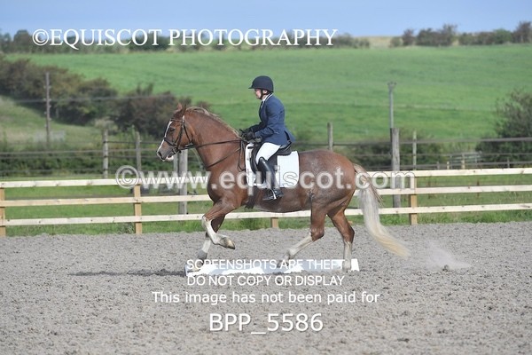 BPP_5586 - MY QUEST OPEN PRELIM TEST 1 + 2