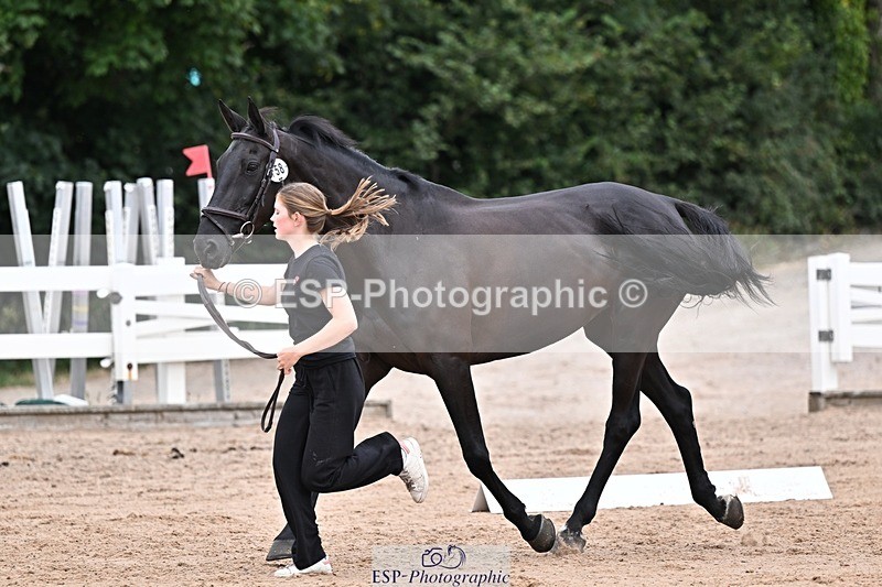 250716-134059-00626 - Trot Up 1.30 to 2.30