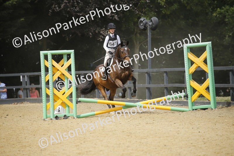 20250622-4145 - 50cm