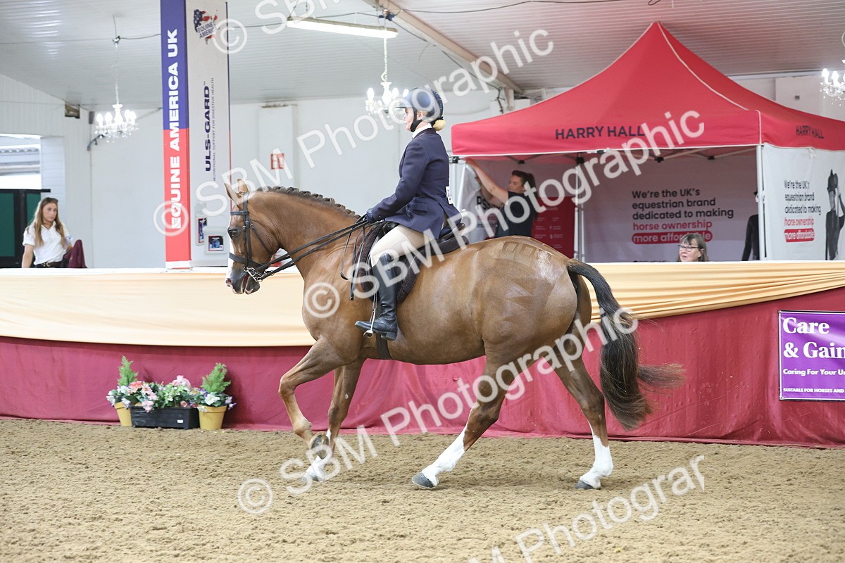 SBM_23800 - class 906 - Supreme Final - Ridden Pre Vet