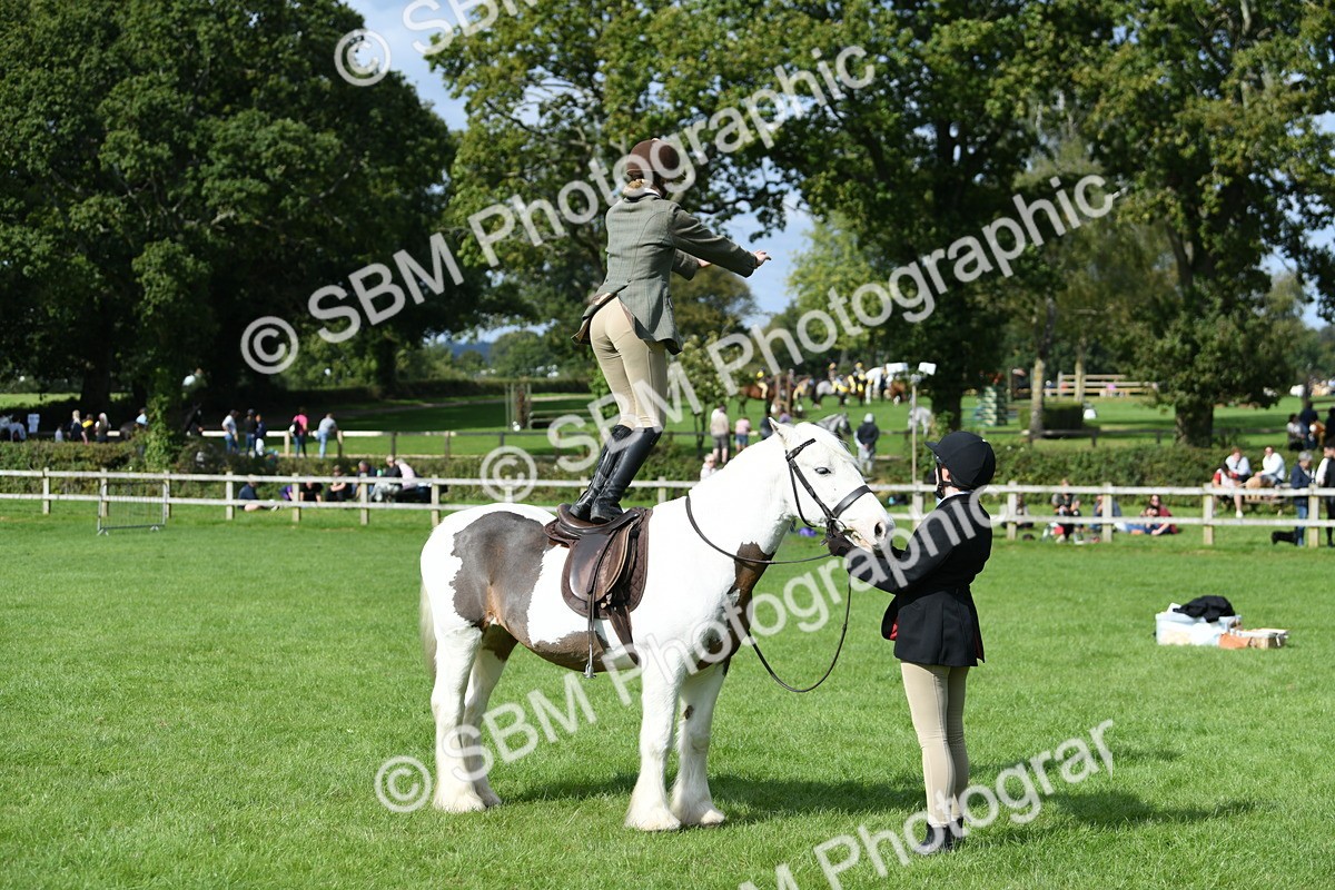 SBM_47038 - S12 - Family Horse & Pony