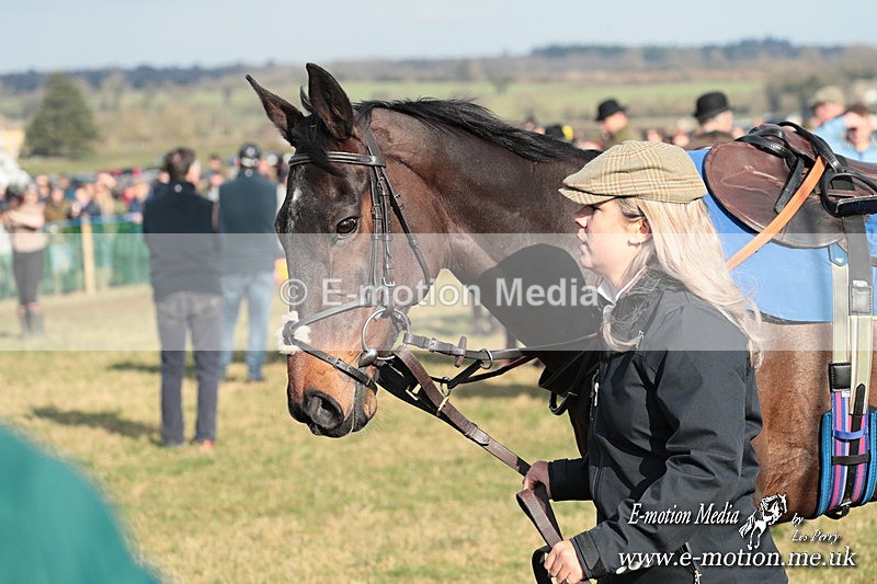 PtP 010325 377 - Beaufort Races Didmarton 01/03/25