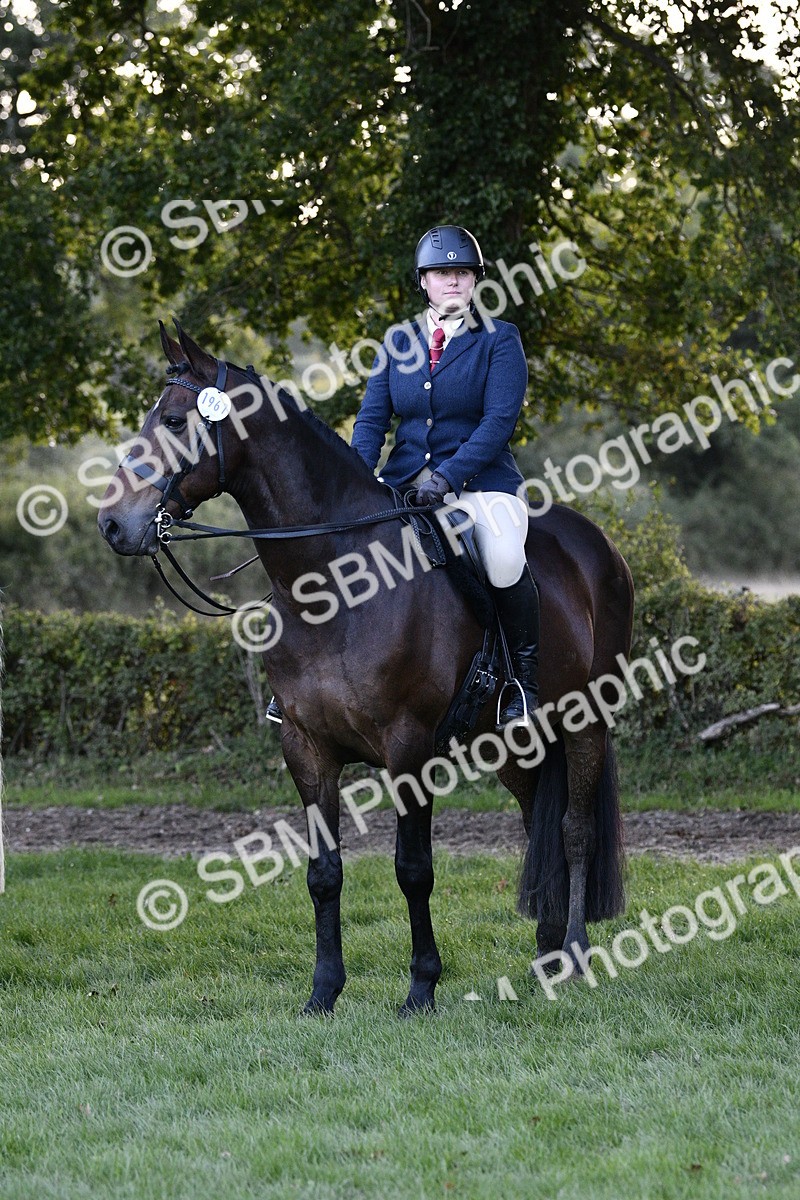 SBM_53595 - S14 - Riding Club Horse