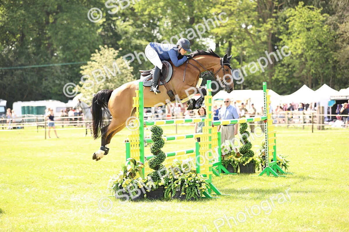 SBM_03038 - Class 201 - British Horse Feedds Speedi Beet HOYS Grade C