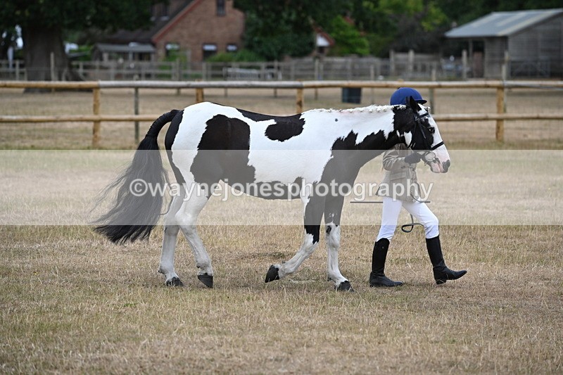 WJ6_7877 - Class 10 Coloured in Hand