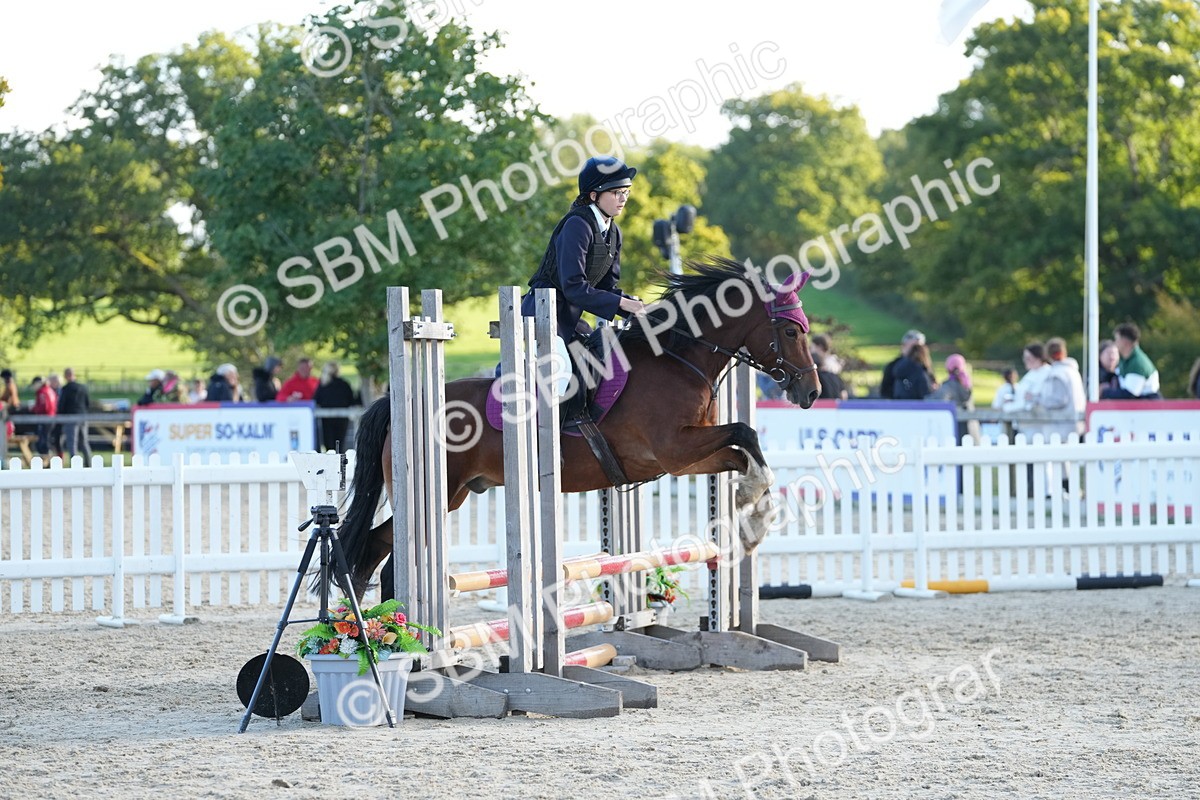 SBM_53982 - J8 - Junior Pony 65cm Championship