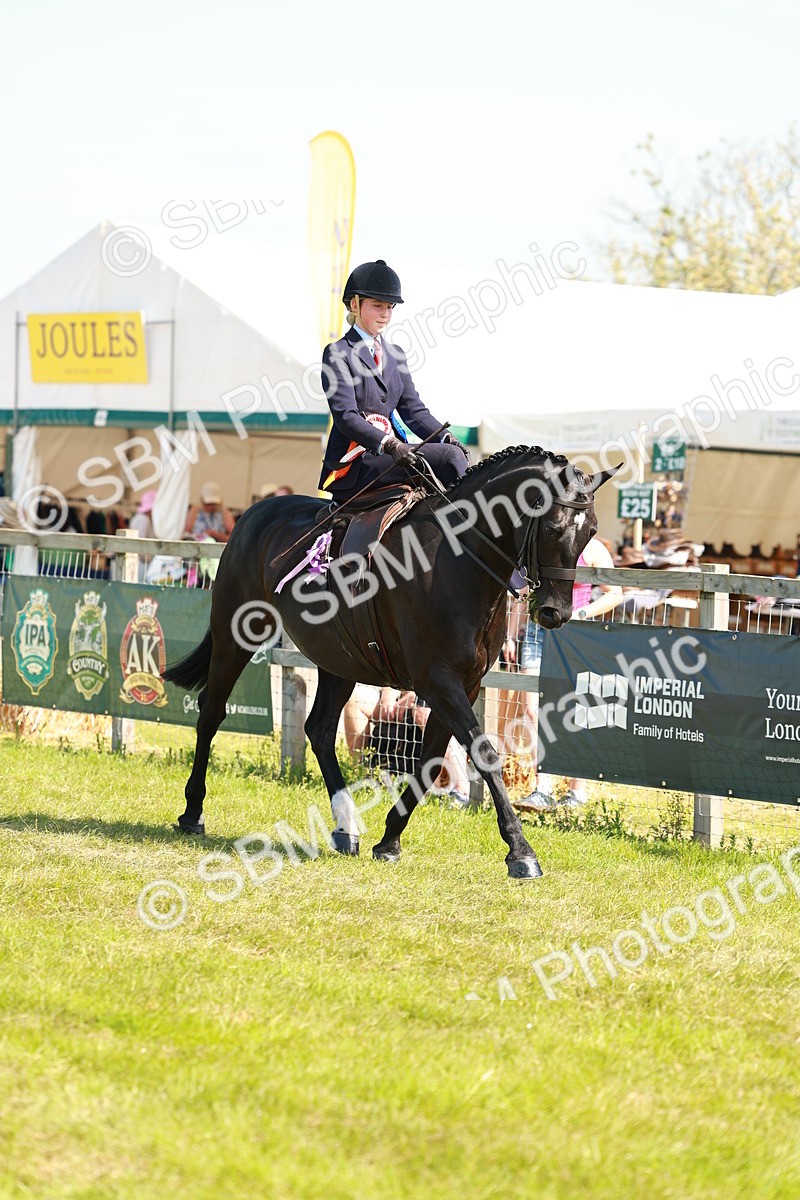 SBM_13287 - Class 70-71 - Side Saddle