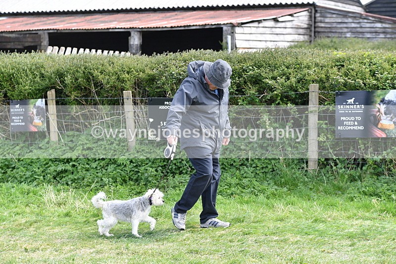 WJ5_0738 - Best in Show Championship