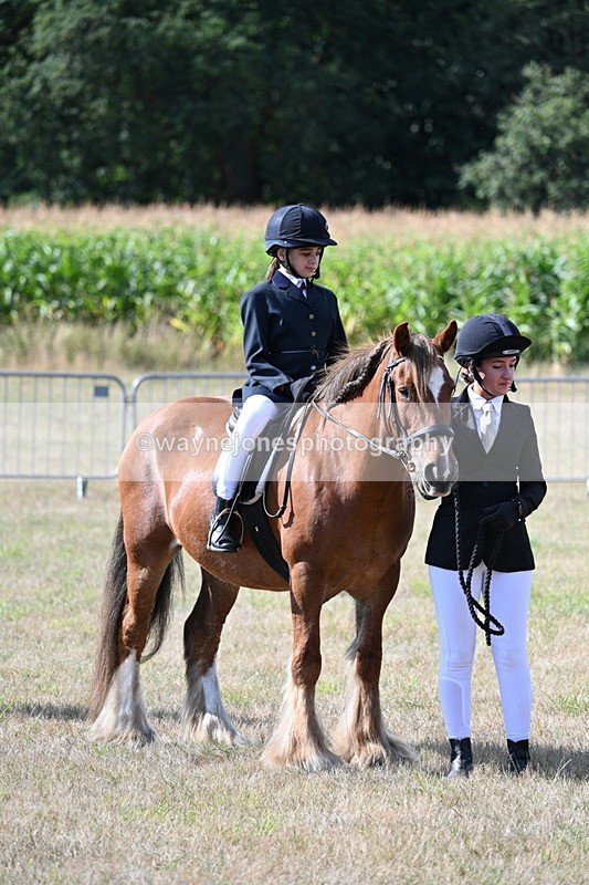 WJ7_2724 - Class 8 Ridden Tack & Turnout