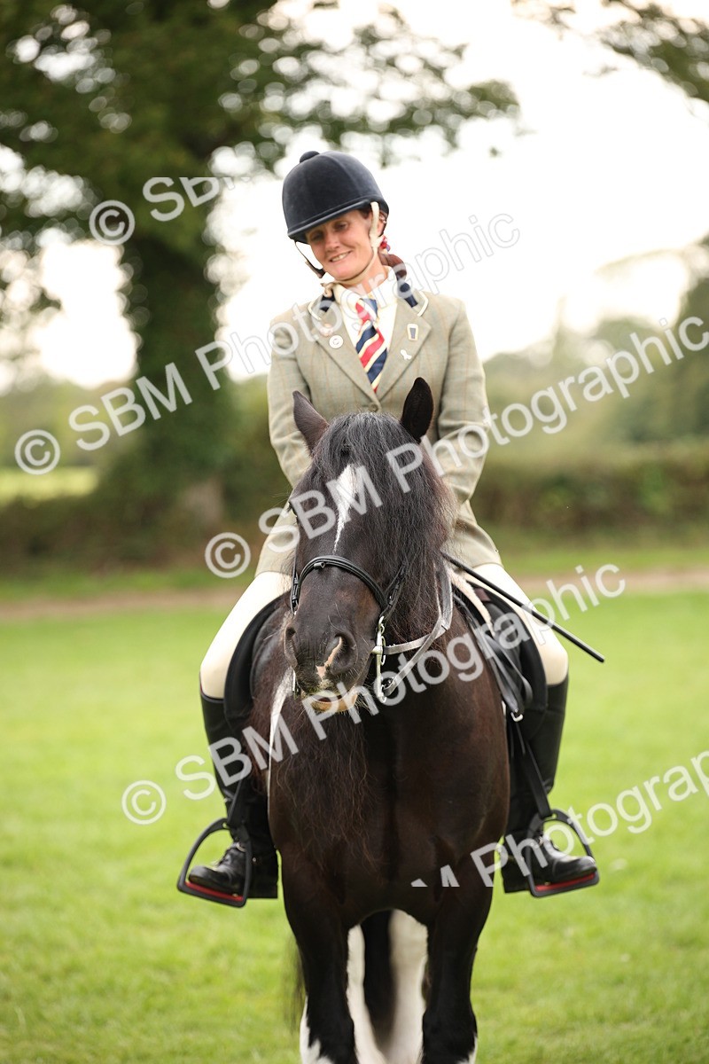 SBM_73578 - S68 - Traditional Cob Ridden