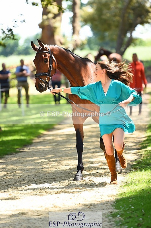230524-150210-00024 - 304-MADFORD_LAW-Anna_Johannson-WEDTrotUp+DR