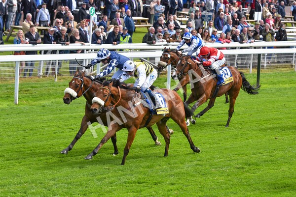yr11052022r2-37 - Race 2 2.25pm Churchill Tyres Stakes