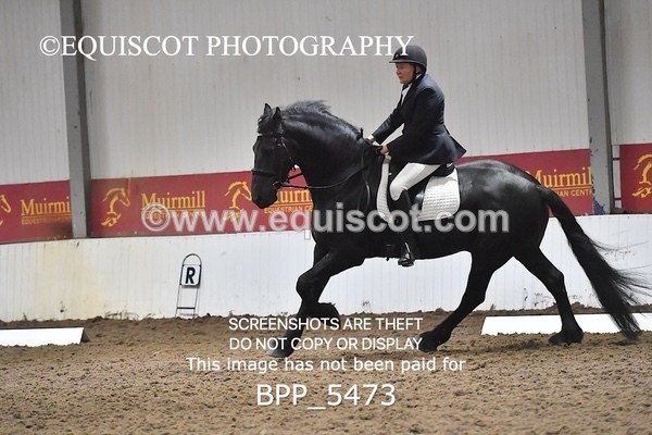 BPP_5473 - NOVICE TEST 4