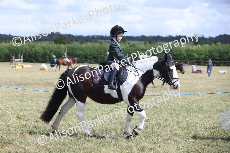 20250831-4188 - Class 20 - Ridden Coloured