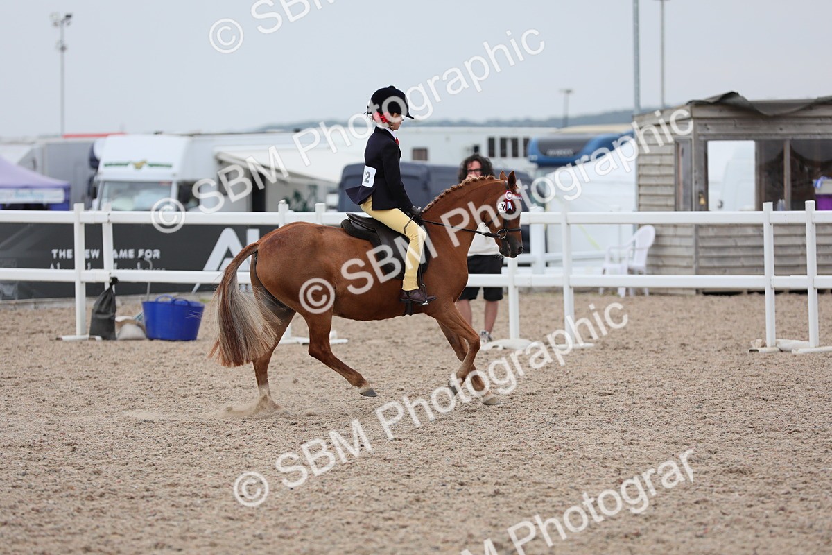 SBM_18156 - Class 316 Best Pony/Rider Combination