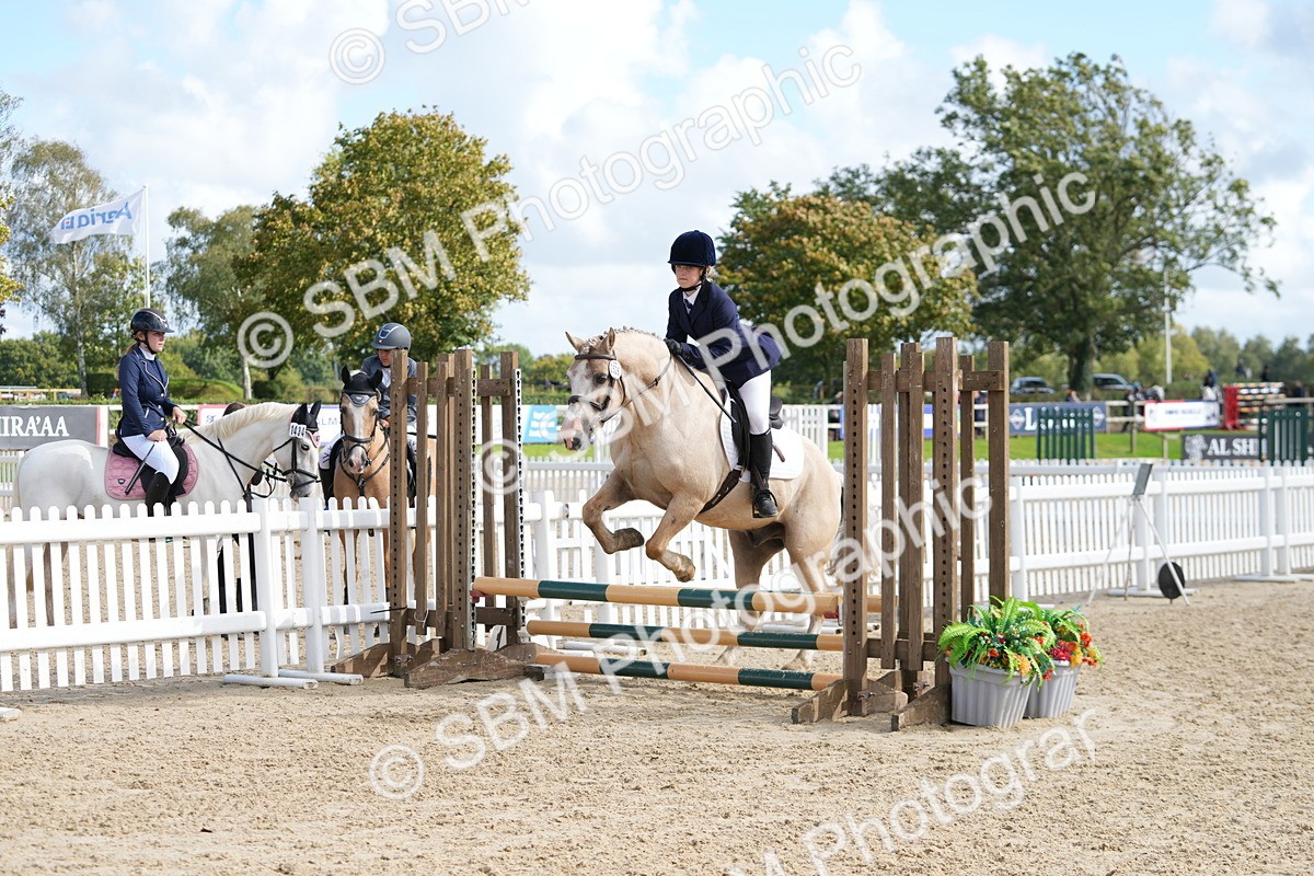 SBM_48486 - J7 - Junior Pony 60cm Championship