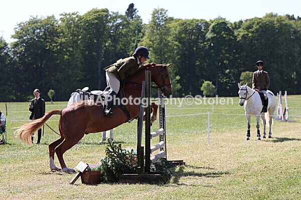 IMG_4559 - Working Hunter