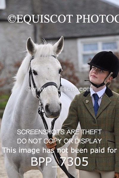 BPP_7305 - RING 1  (RIDDEN HORSES / IN HAND / VETERAN ETC)