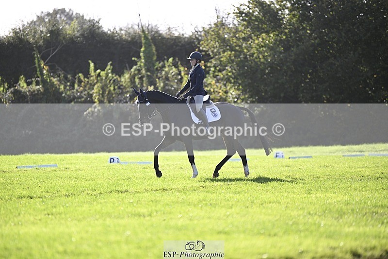 241025-111601-06806 - 365-Charlotte.Cutler-HOLY.STREET