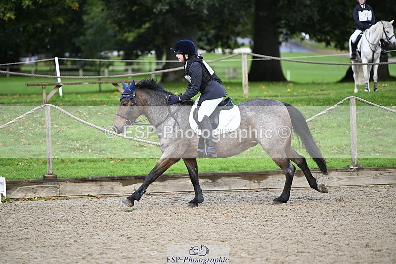 251005A-085632-02898 - Cls 02 GR 50cm