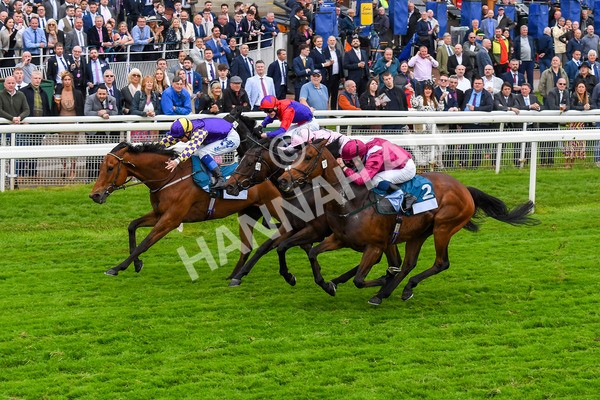 190523-Race 6-Eligible-0835 - Race 6 4.45pm Yorkshire Equine Practice Handicap
