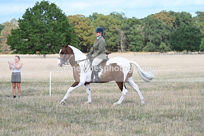 WJ7_6962 - Class 14 Ridden Coloured