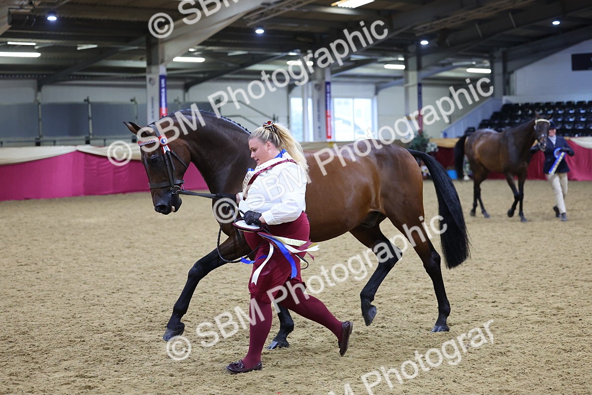 SBM_18827 - Class E IH Horse Champ