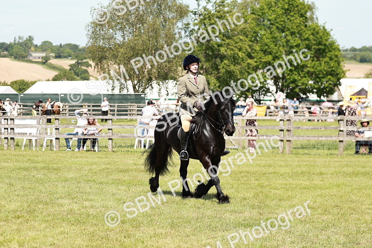 SBM_07134