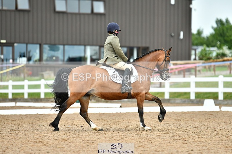 230630A-154643-03362 - Cls 1+5 Quest Intro A + Prelim 2