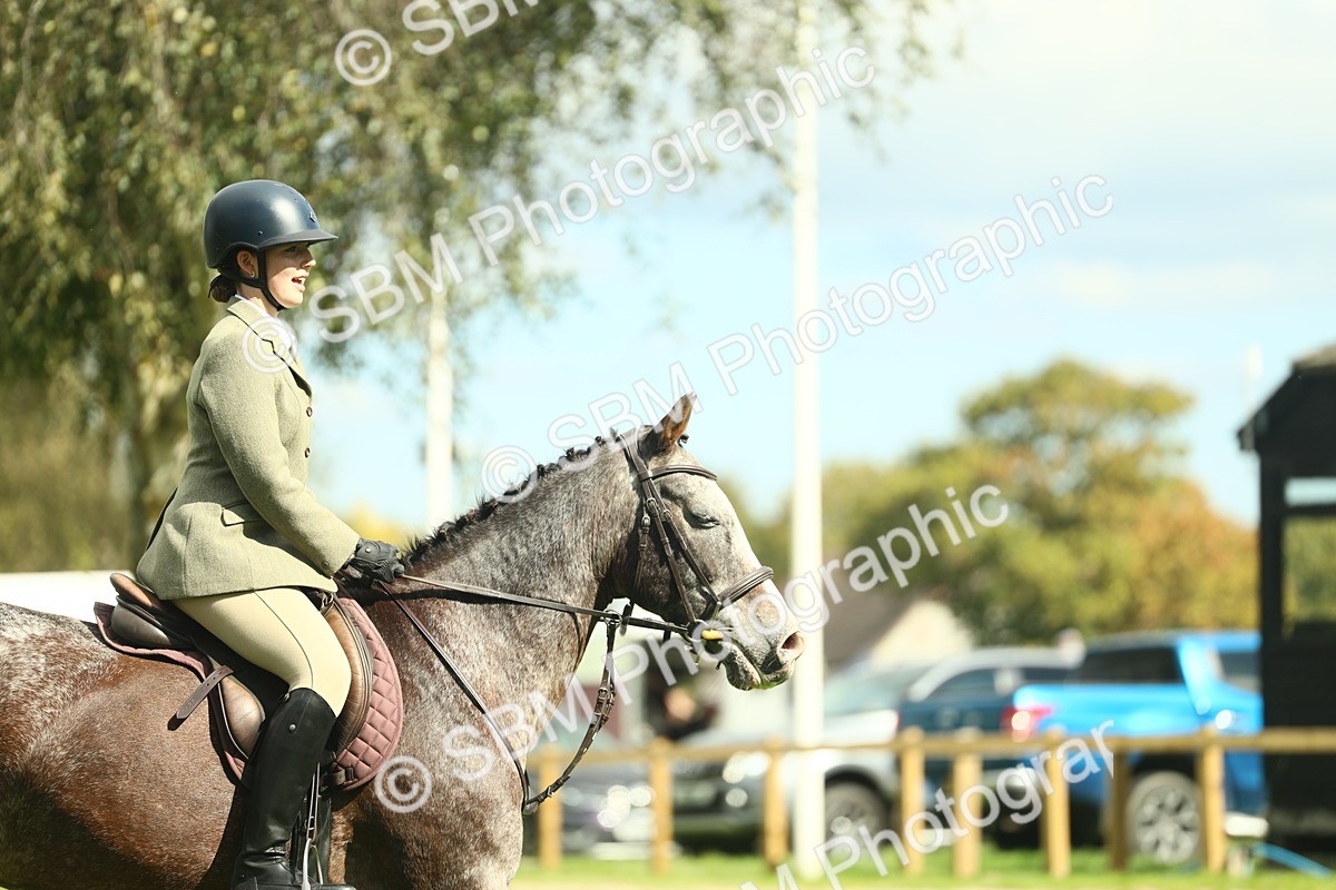SBM_42135 - S29 - Novice & Newcomers Working Hunter Pony