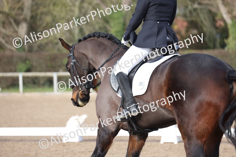 20260128-0408 - Class 4 - Novice 5