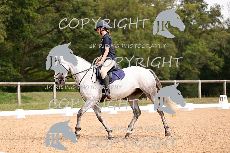 _R6A2544 - Dressage Morning