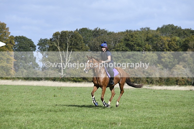 _DSC6220 - Time 11:23 to 12:05