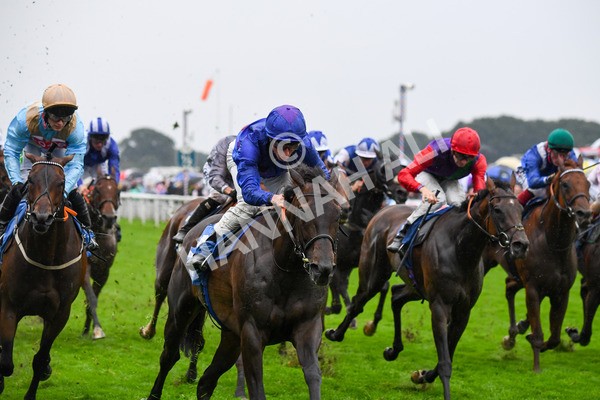 yr21082021r6-12 - Race 6 4.45pm Sky Bet Stakes